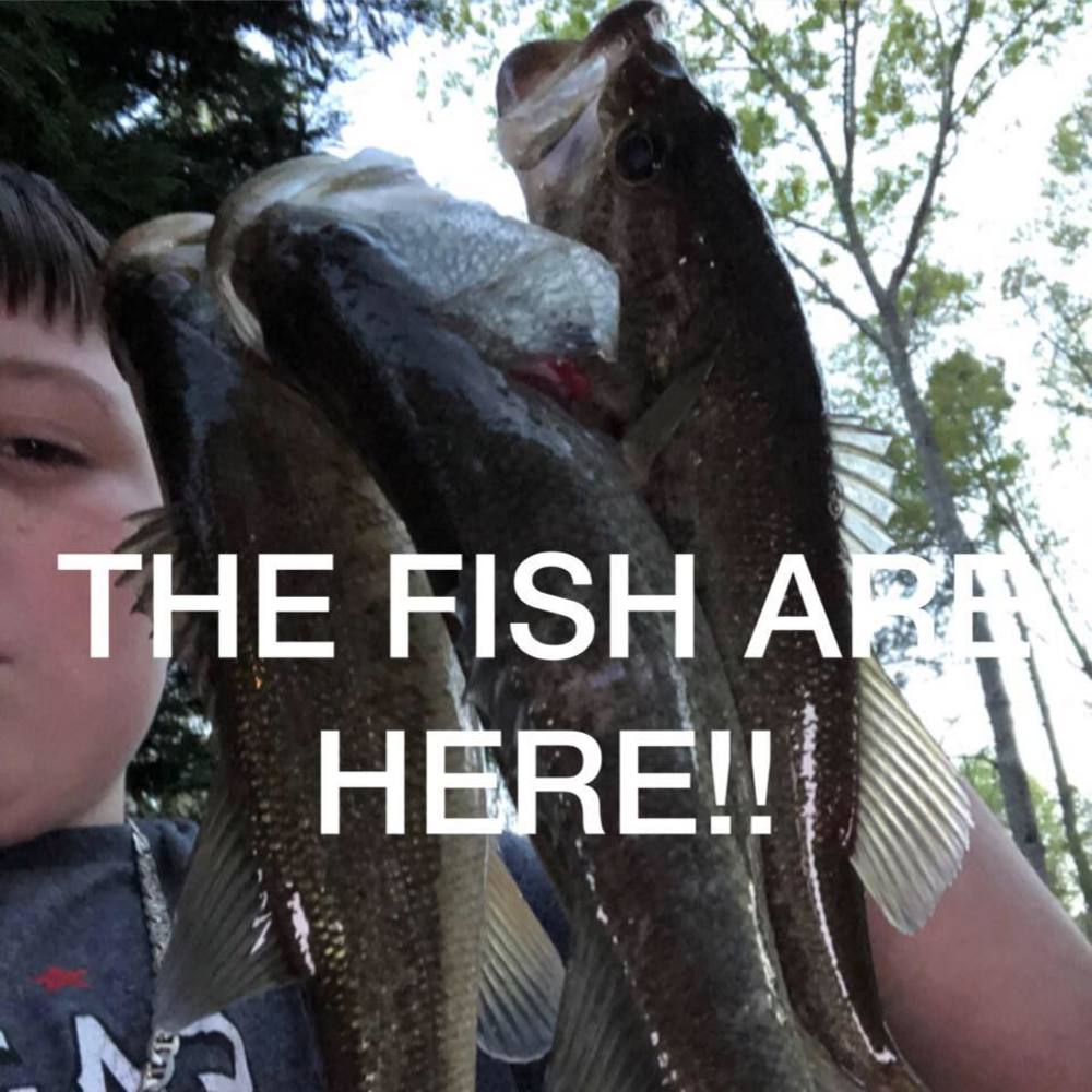 Meet your Posher, Debra